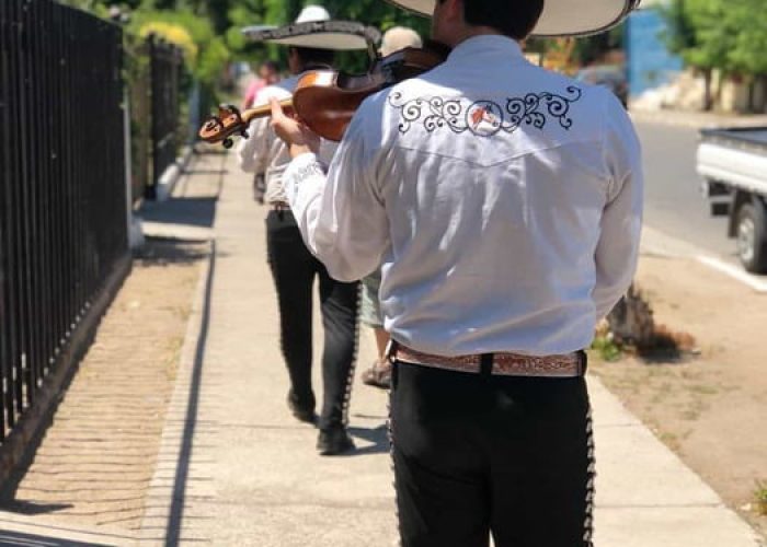 Mariachis En Concepcion